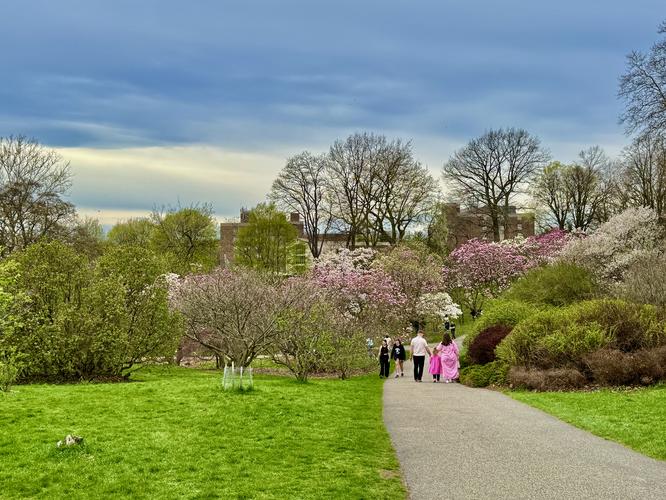 Highland Park Spring Bloom Walk - 20260419T004728Z album