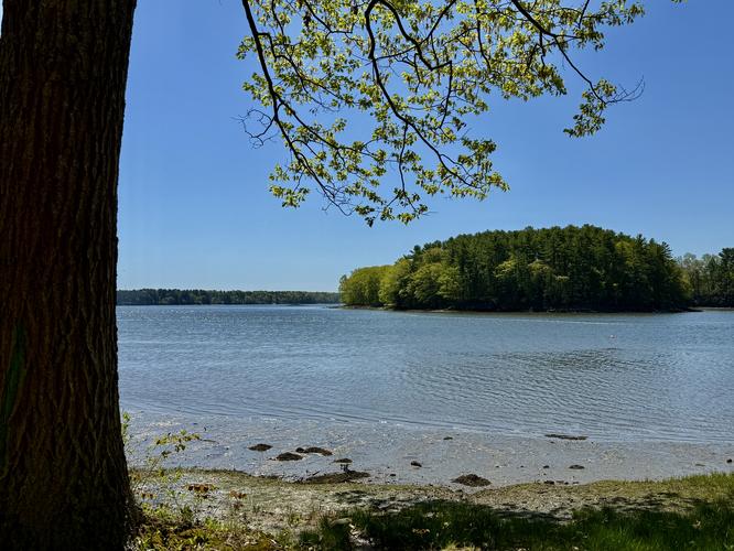 Wagon Hill Farm Loop Trail - 20260517T204228Z album