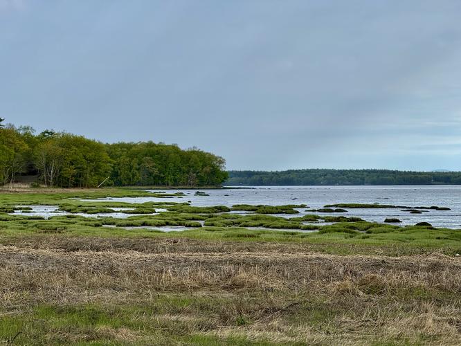 Great Bay Shaw Brook Trail - 20260518T163525Z album