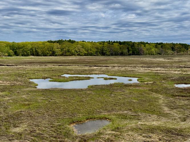 Ray Harbor Marsh Trail - 20260518T163703Z album