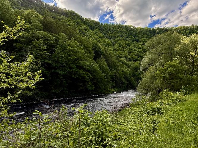 Owassee Rapids via Pine Creek Trail - 20260601T224136Z album
