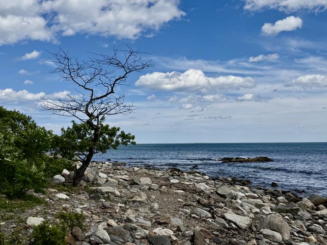 Odiorne Point Loop Hike - 20260620T002711Z album