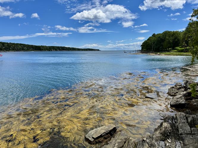 Gun Point Cove Loop Trail - 20260621T023538Z album