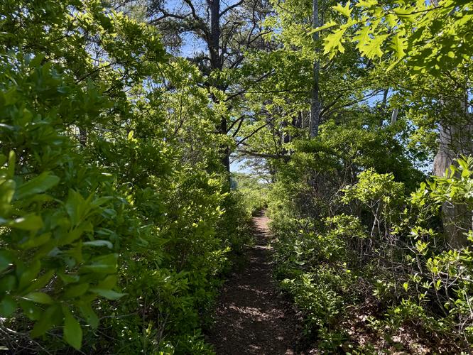 Kennebunk Bridle Path - 20260621T174247Z album