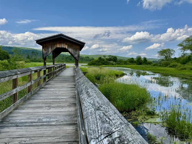 Birdseye Hollow Pond Trail - 20260627T194457Z album