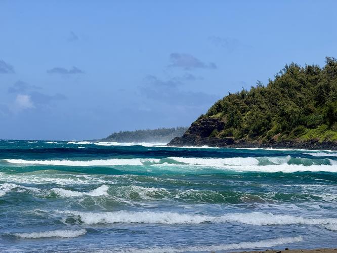 Kahili Beach Walk - 20260709T044210Z album