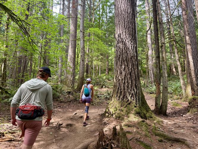 Tallus Loop Trail - 20260822T020716Z album