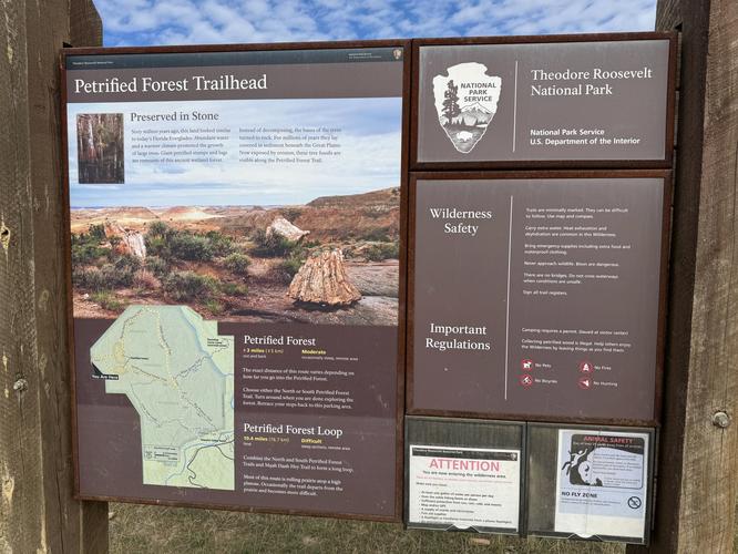 North Petrified Forest Trail - 20261002T035012Z album