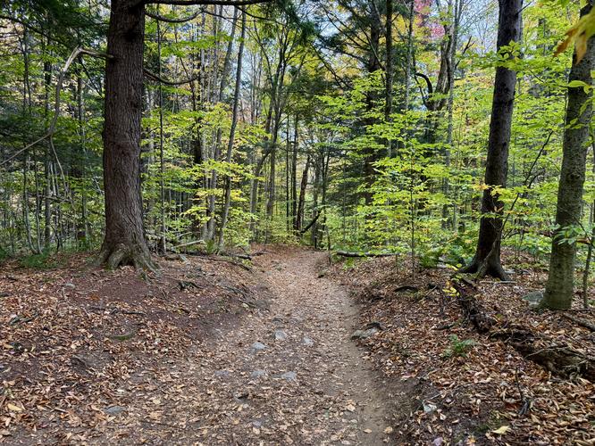 Bingham Falls Trail - 20261012T014911Z album