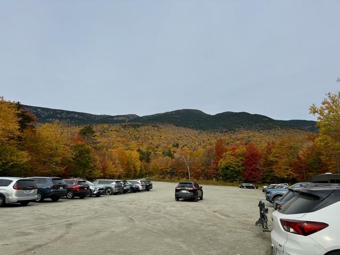 Mt. Mansfield via Long Trail - 20261012T015324Z album