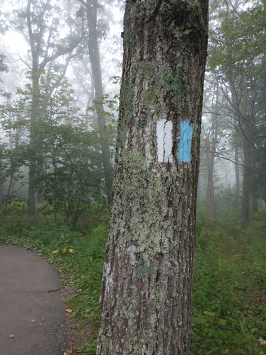 Trail Blaze for the Stony Man Trail
