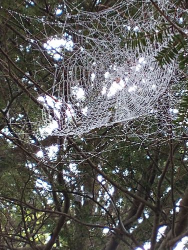 When you can't see the view, look for smaller wonders along the trail.