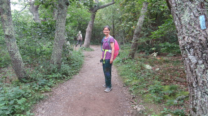 Stony Man Trail - 2adamswalking on Stony Man Trail album