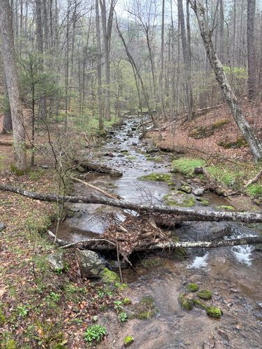 Appalachian Trail to Lynchburg Reservoir default picture
