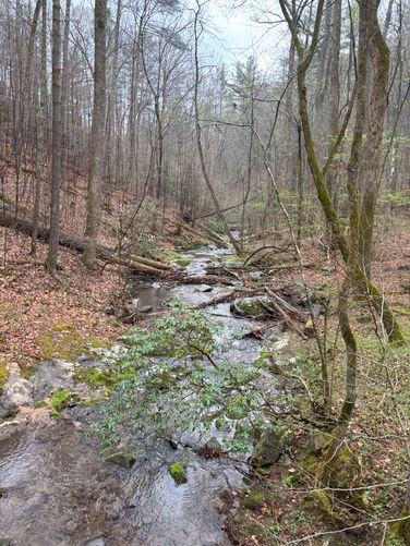 Picture 5 of AT to Lynchburg Reservoir