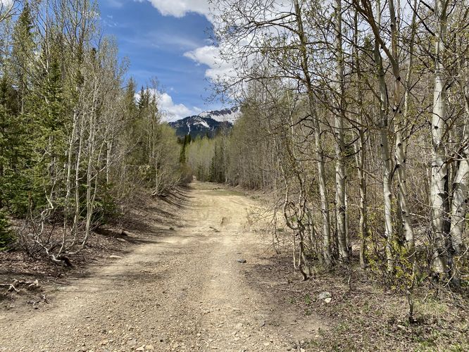 Trail / dirt road leads to Ironton Townsite
