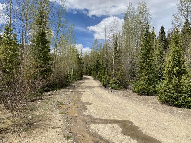 Open dirt road