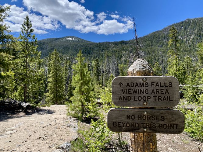 Adams Falls trail sign