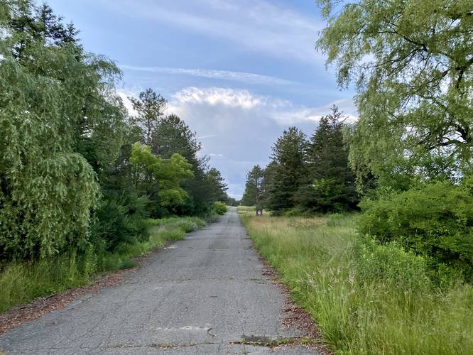 Entrance road / trail