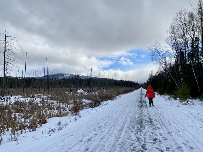 Hiking the Adirondack Rail Trail (Oseetah section)