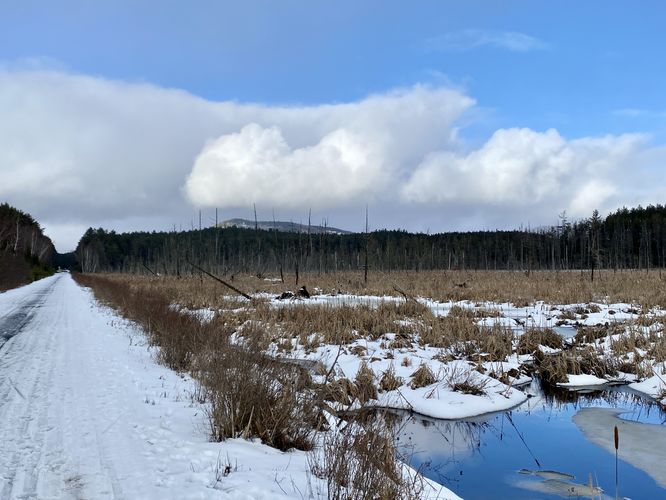 View of Baker Mountain and swamp area