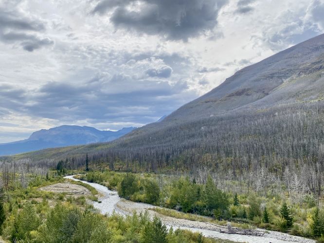 Default image for Akaitapi Lookout, a 0.1-mile trail in Waterton Park, AB (CA)