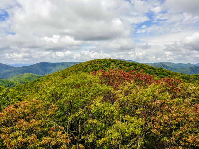 Picture 2 of Albert Mountain Lookout Tower Hike 052917