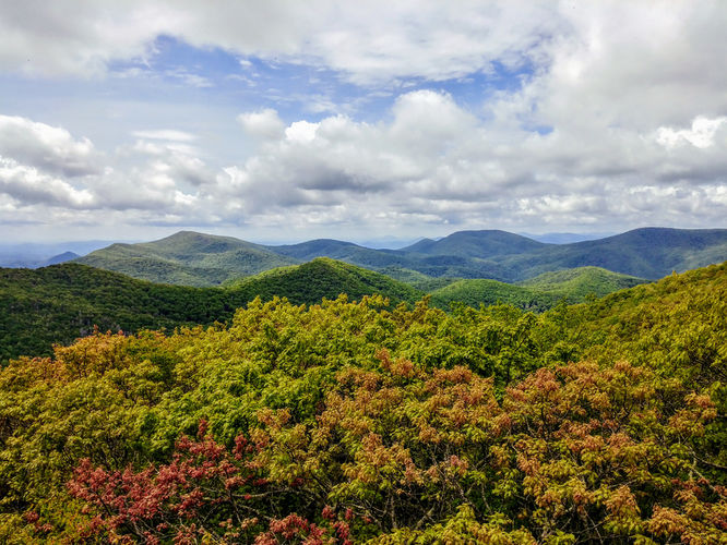 Picture 3 of Albert Mountain Lookout Tower Hike 052917