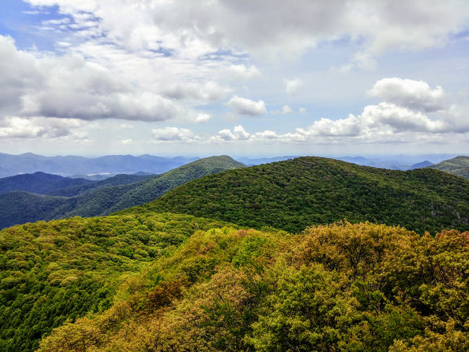 Picture 4 of Albert Mountain Lookout Tower Hike 052917