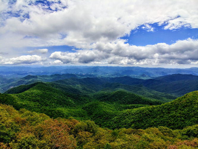 Picture 6 of Albert Mountain Lookout Tower Hike 052917