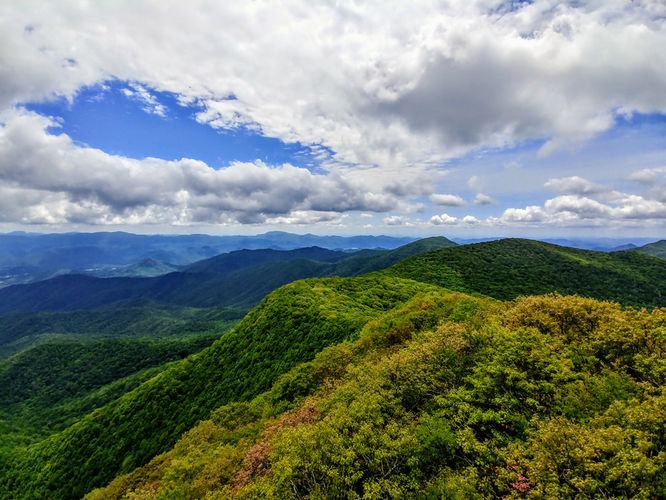 Default image for Albert Mountain Lookout Tower Hike, a 5.3-mile trail in Otto, NC (US)