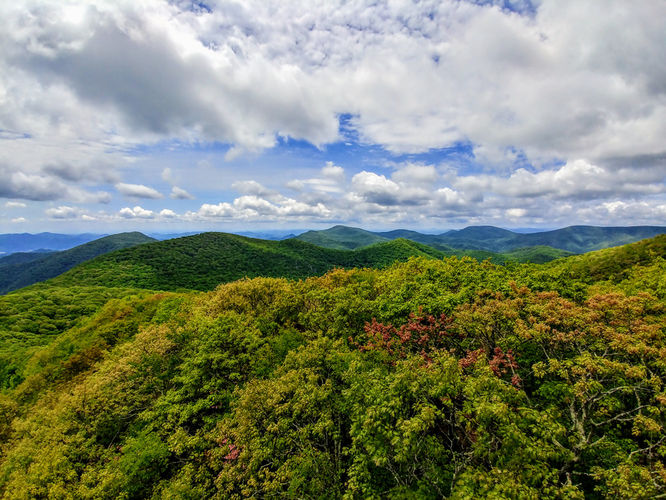 Picture 7 of Albert Mountain Lookout Tower Hike 052917