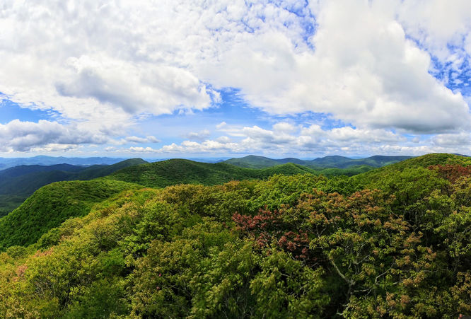 Picture 8 of Albert Mountain Lookout Tower Hike 052917