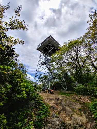 Picture 9 of Albert Mountain Lookout Tower Hike 052917