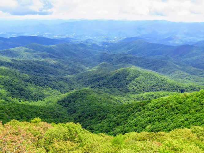 Picture 31 of Albert Mountain Lookout Tower Hike 052917