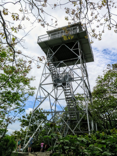 Picture 36 of Albert Mountain Lookout Tower Hike 052917