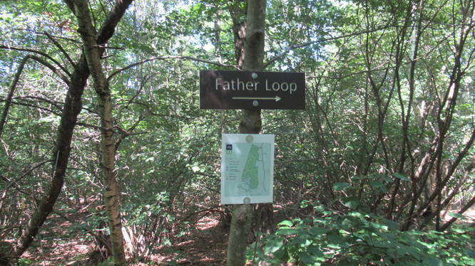 Trail marker on tree with map