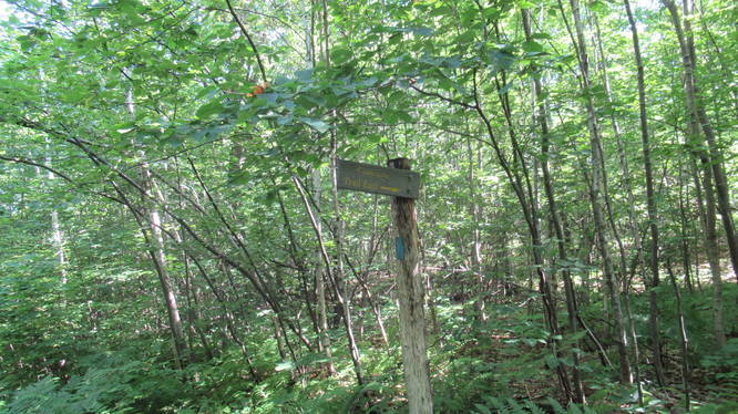 Connector trail sign and blue trail blaze marker
