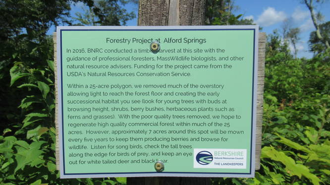 Sign explaining Forestry Project