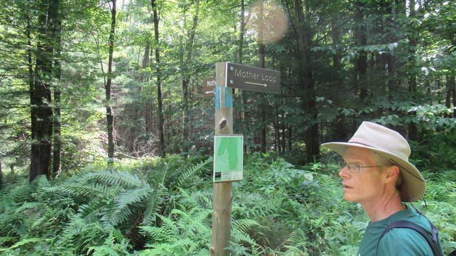 Great signage to keep hikers on the correct path