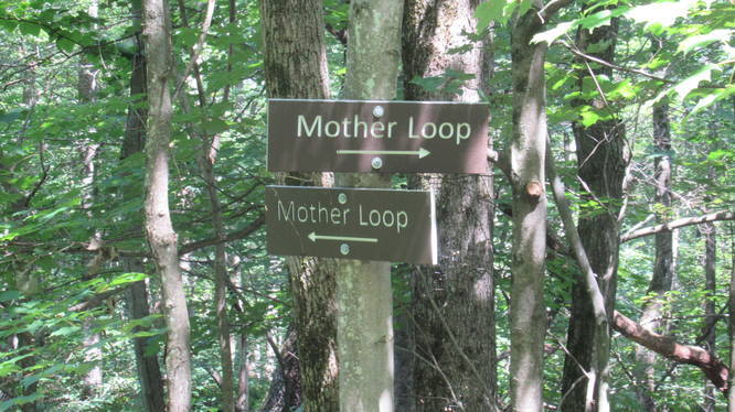 Signage at Mother Loop Trail