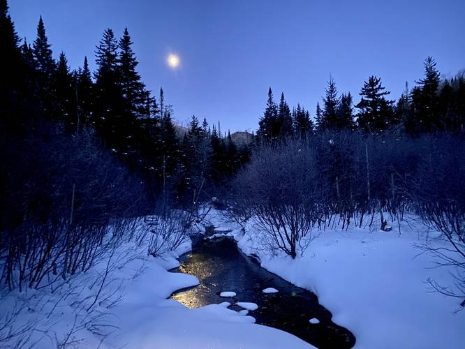 Moon sits above the evergreens an MacIntyre Brook in the early morning