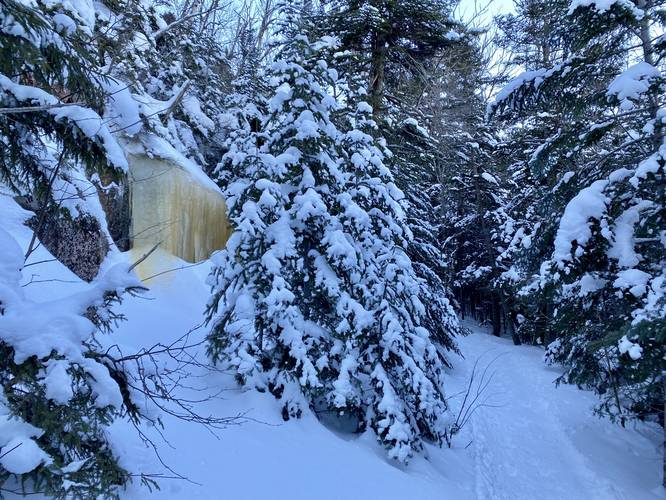 Snow-covered evergreens with sap-filled ice hanging on boulders off-trail