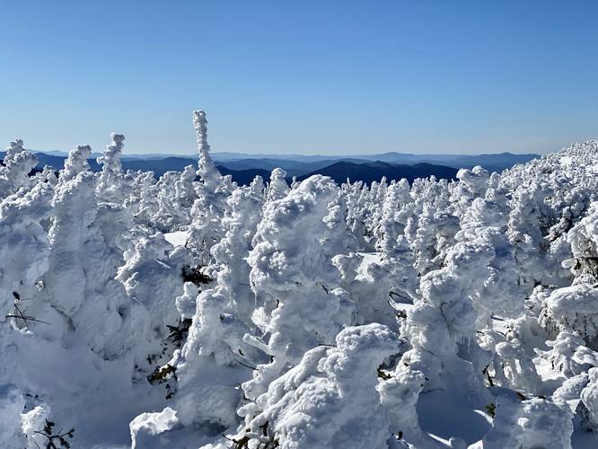 Snow-covered spruce trees with views of the Adirondack Mountains in the distance