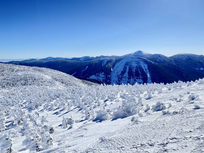 View of snow-buried spruce trees in the col, Mt. Colden, and Mt. Marcy from the slopes of Iroquois Peak