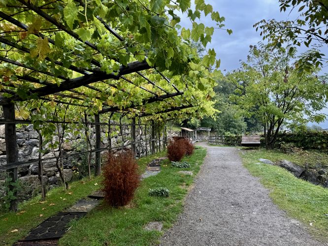 Start of the Algunder Waalweg with vineyard trellises