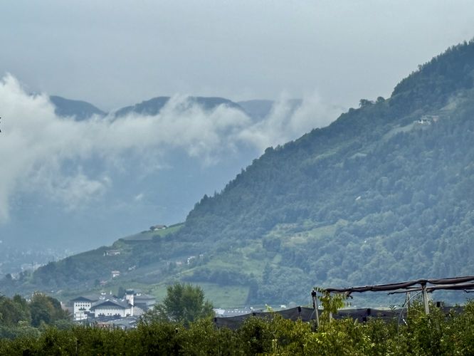 View of the South Tyrol Alps above the vineyard