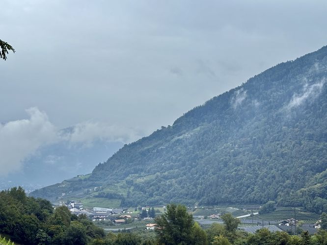 View of the South Tyrol Alps above the vineyard