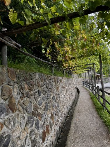 Vineyard trellis coveres the trail at Algunder Waalweg in South Tyrol