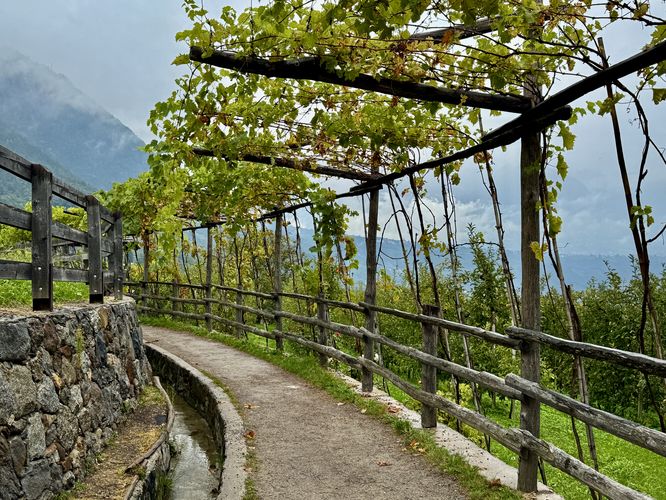 Algunder Waalweg - Algunder Waalweg album